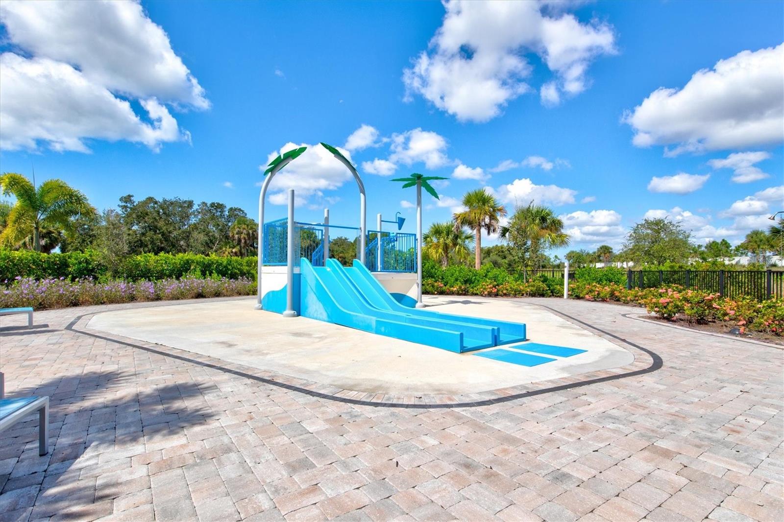 Image 66 of 91 For 12709 Lateral Root Drive