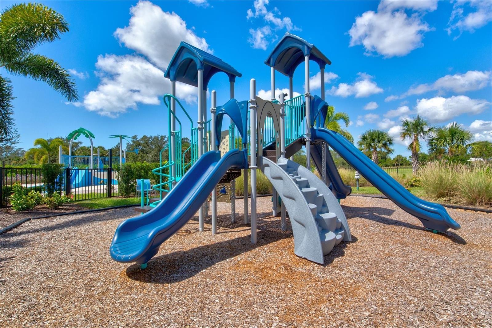 Image 67 of 91 For 12709 Lateral Root Drive