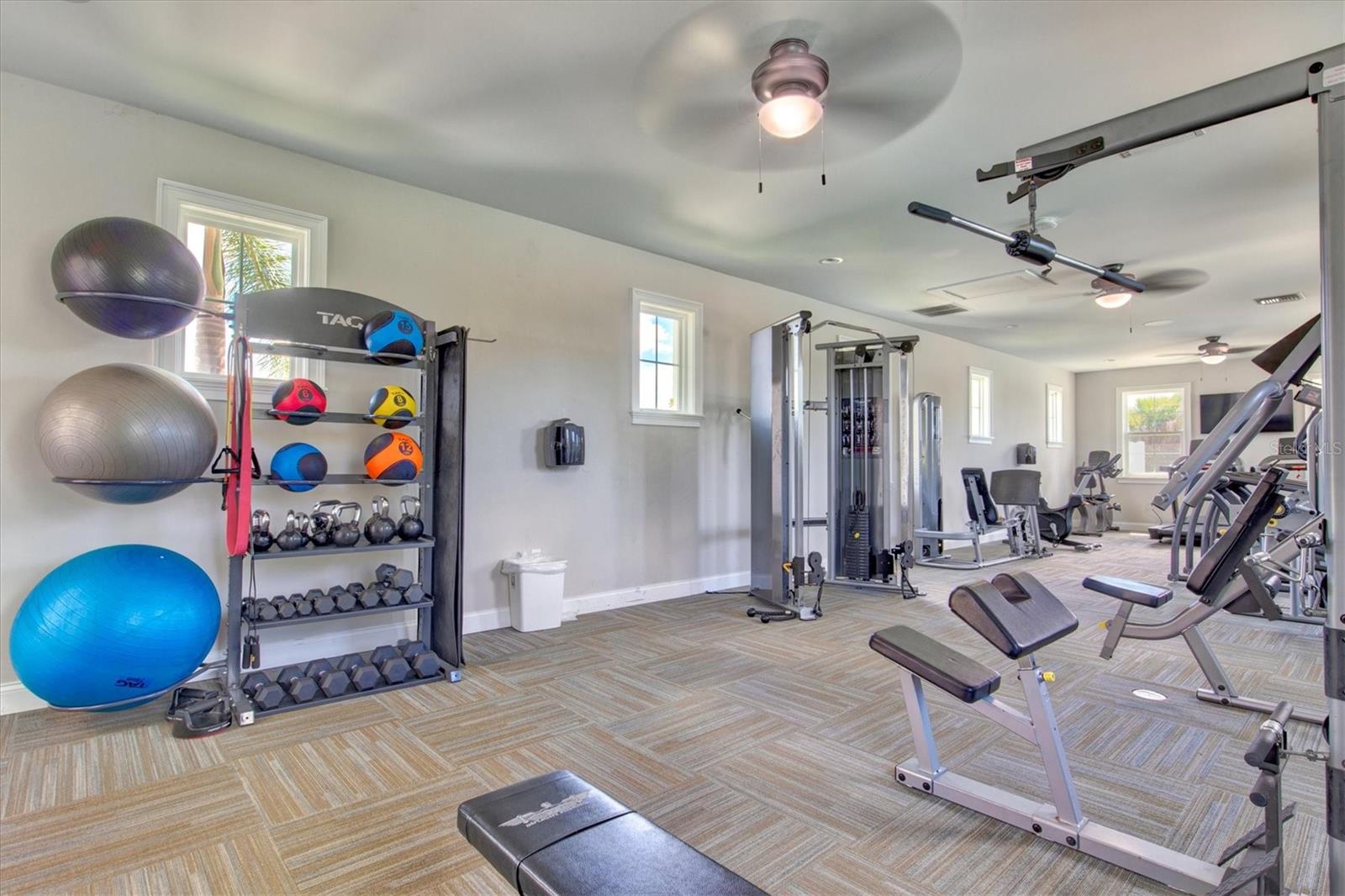 Image 69 of 91 For 12709 Lateral Root Drive