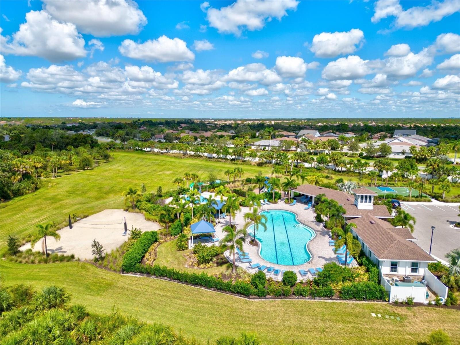 Image 71 of 91 For 12709 Lateral Root Drive