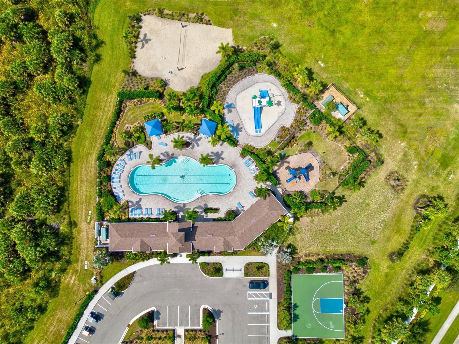 Image 72 of 91 For 12709 Lateral Root Drive