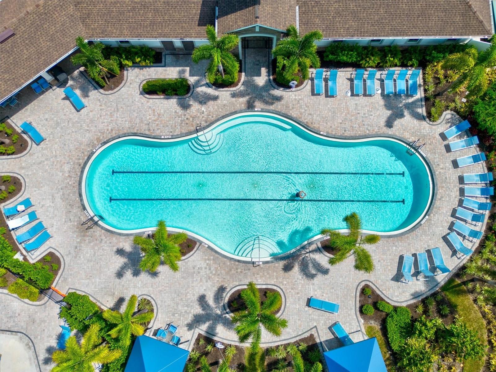 Image 73 of 91 For 12709 Lateral Root Drive