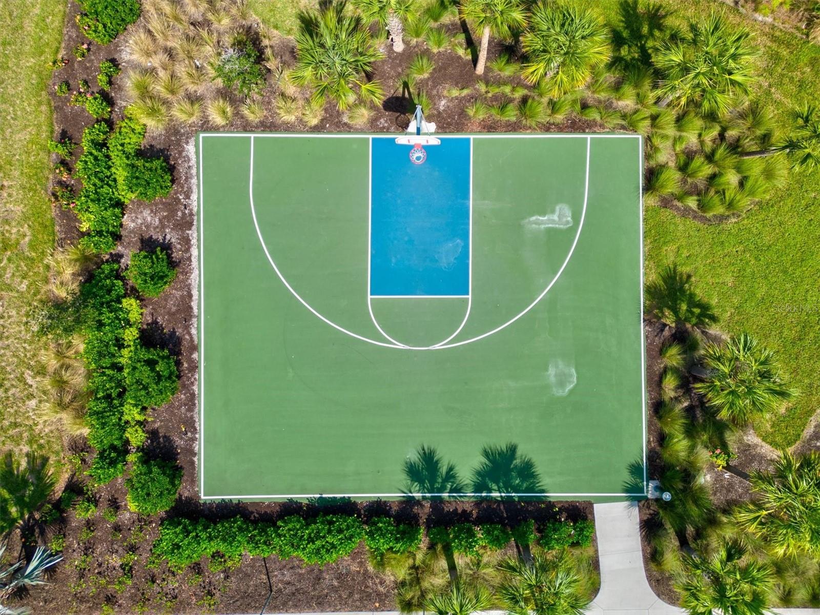 Image 76 of 91 For 12709 Lateral Root Drive