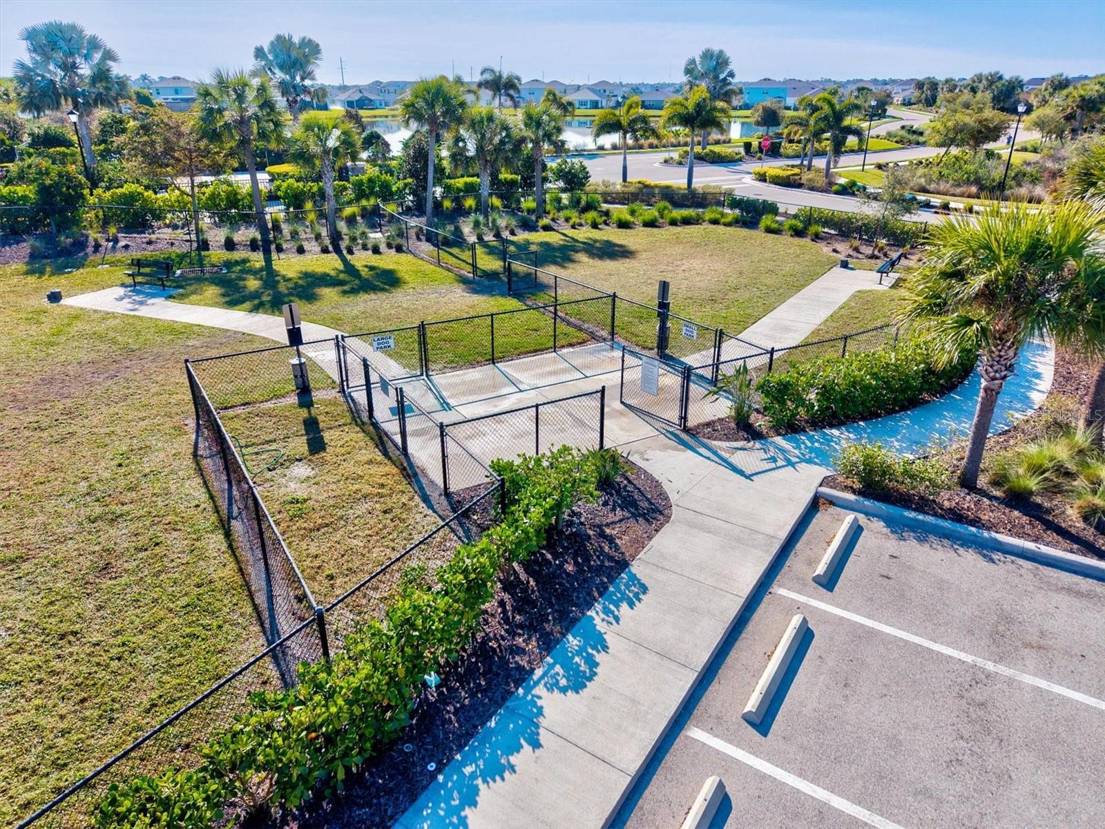 Image 77 of 91 For 12709 Lateral Root Drive