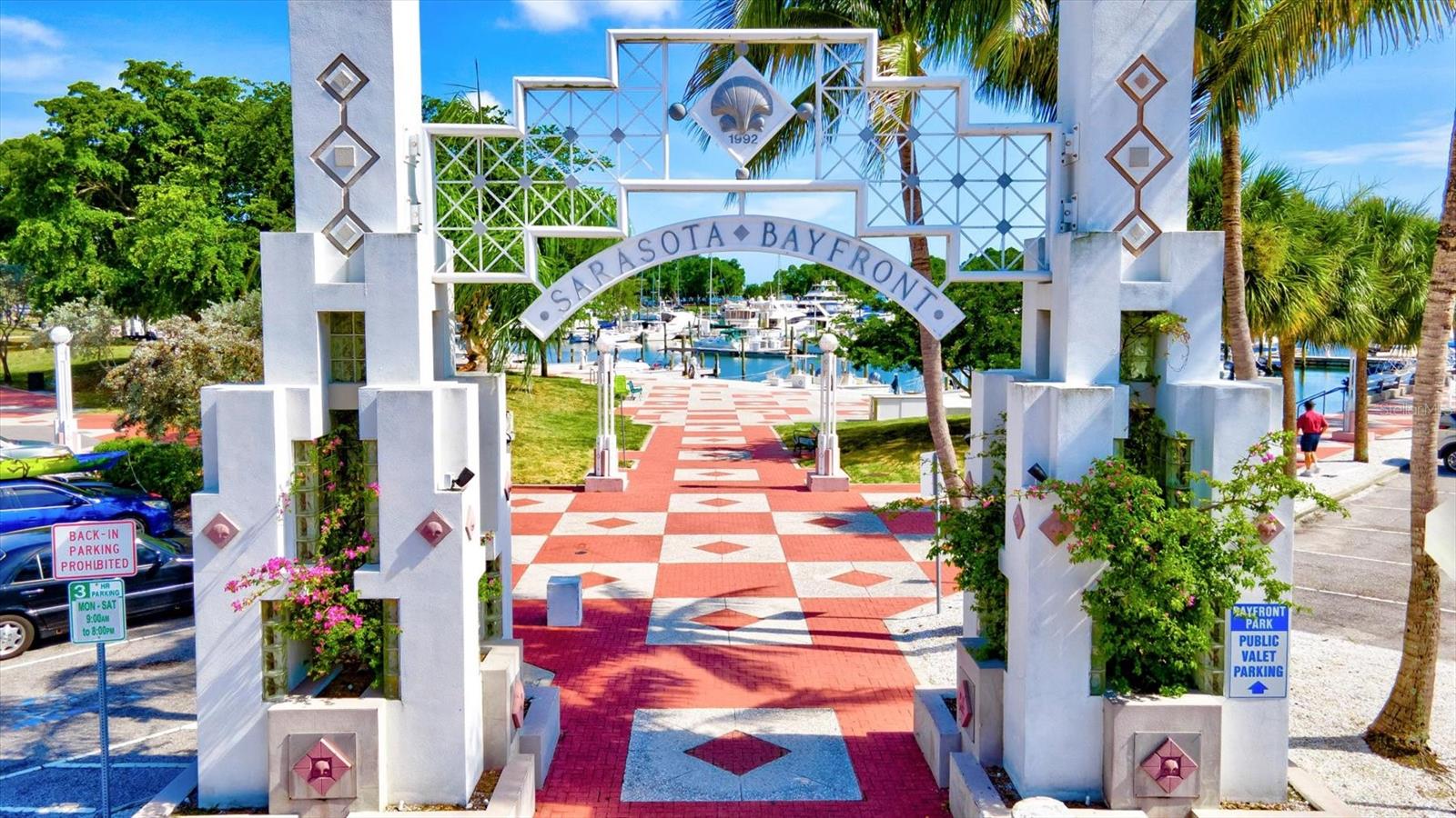 Image 79 of 91 For 12709 Lateral Root Drive