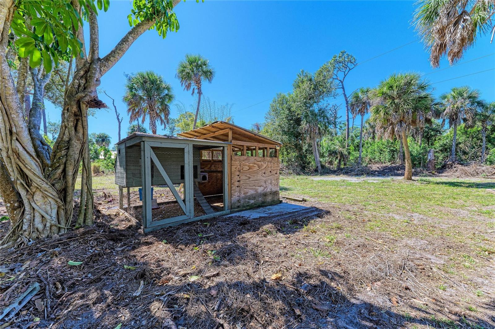 Image 100 of 100 For 820 Elm Street