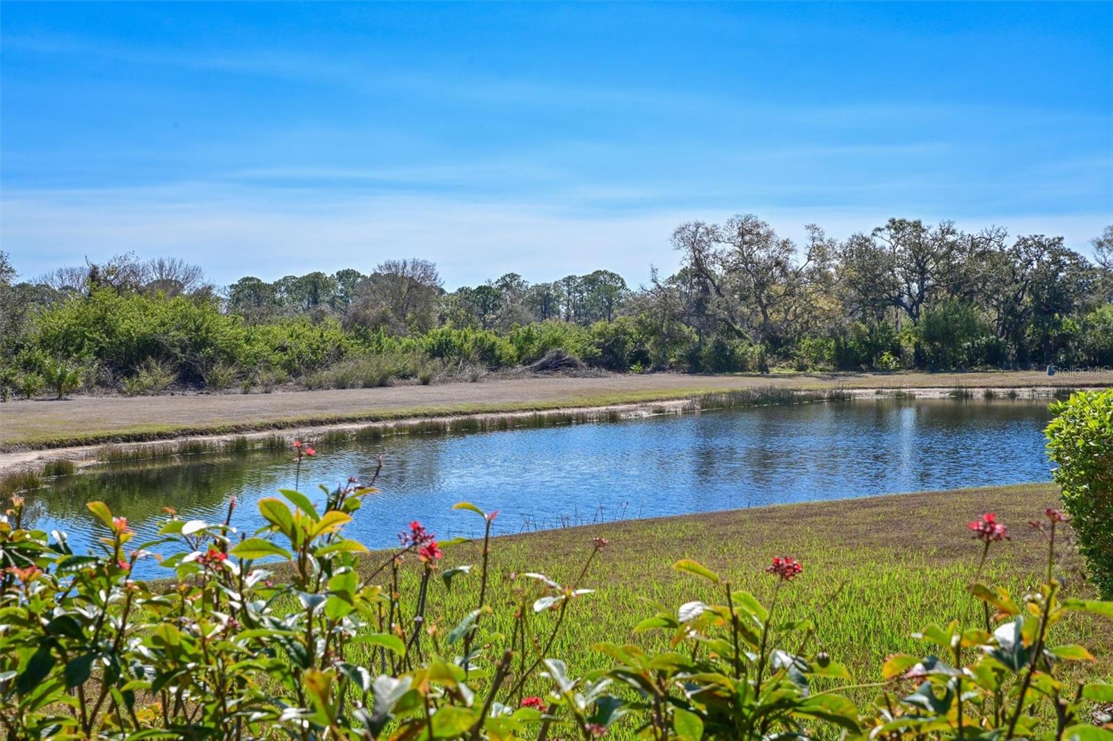 Image 37 of 50 For 12246 Clubhouse Drive