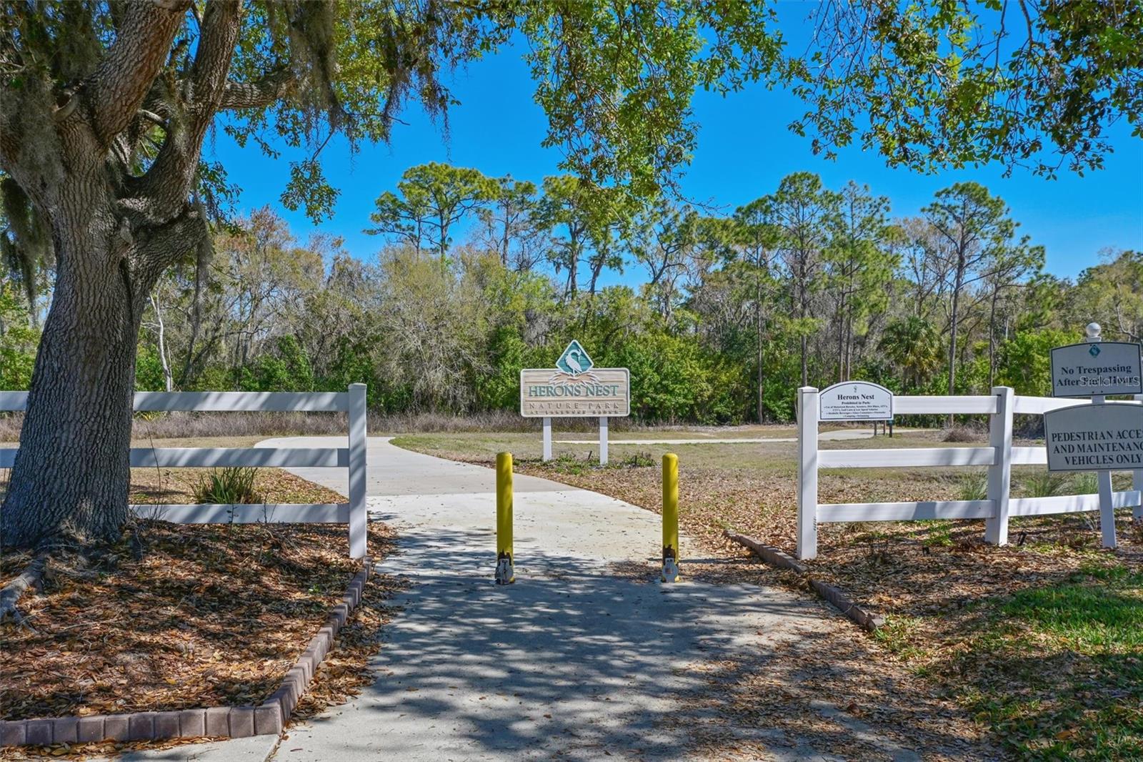 Image 40 of 50 For 12246 Clubhouse Drive