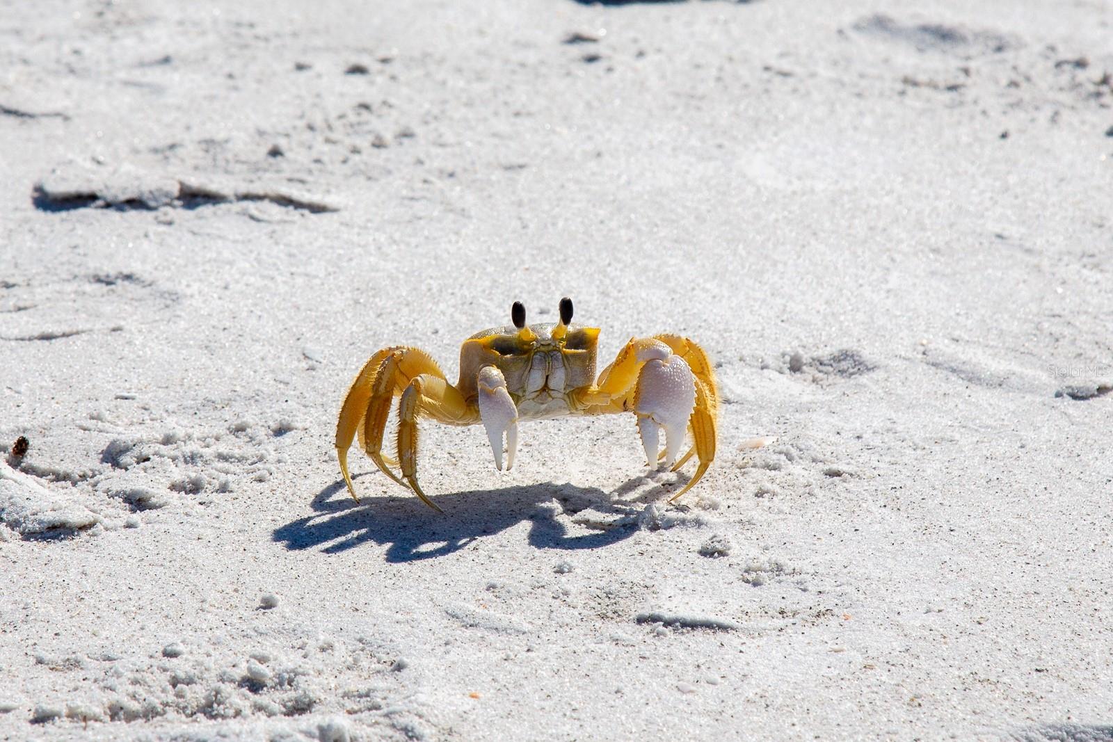 Image 34 of 34 For 691 Gulf Bay Road