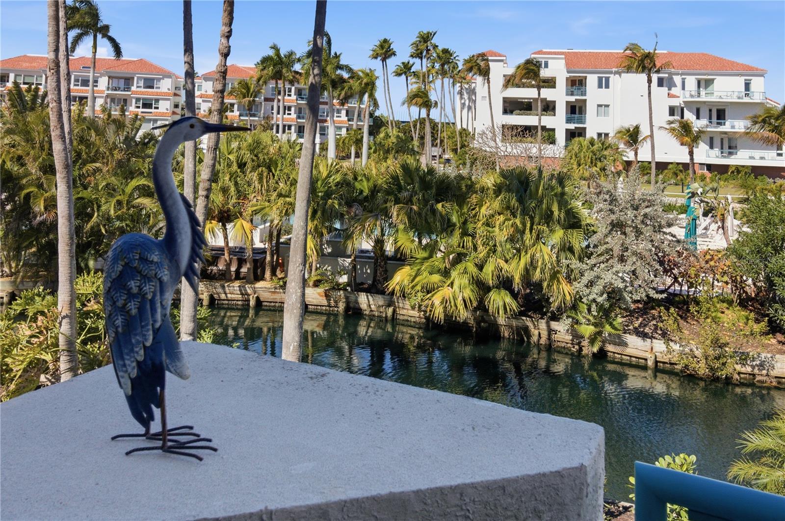 Image 34 of 81 For 350 Gulf Of Mexico Drive 219