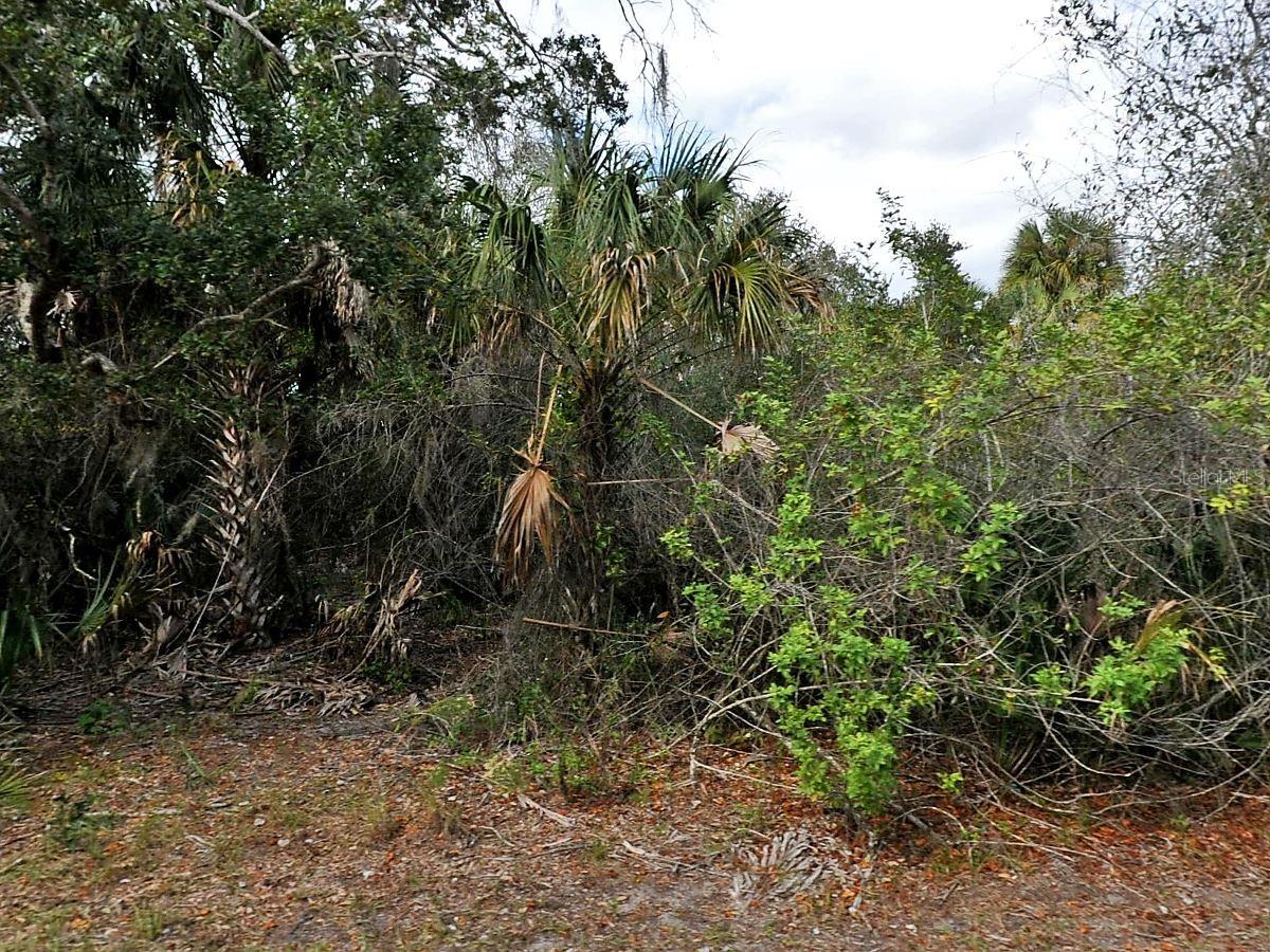 Details for Alfa Terrace, NORTH PORT, FL 34286