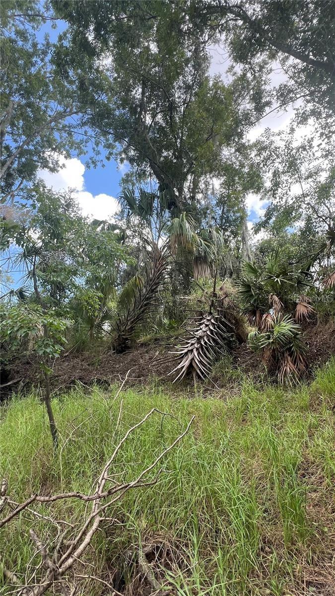 Image 4 of 6 For Nw Scout Avenue