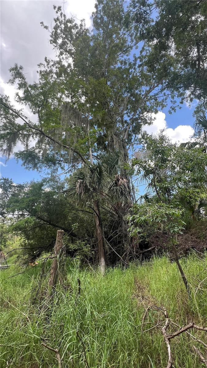 Image 5 of 6 For Nw Scout Avenue