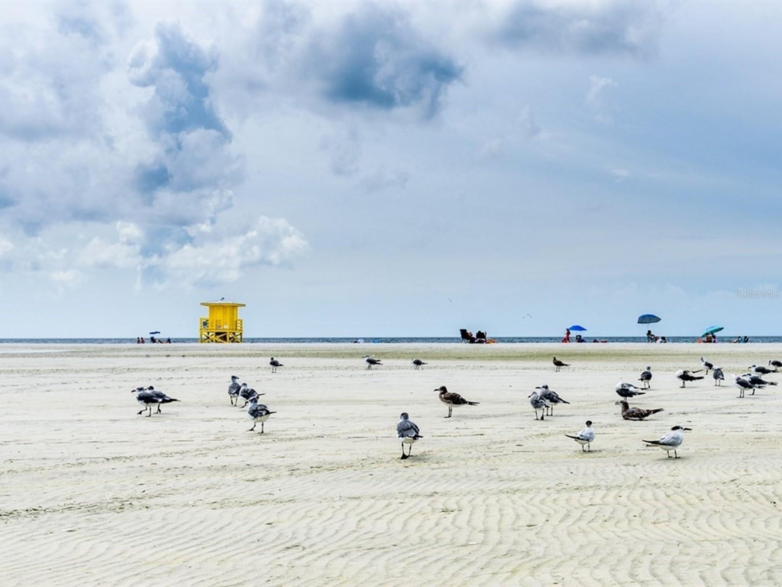 Image 99 of 100 For 7919 Limestone Lane 13-204