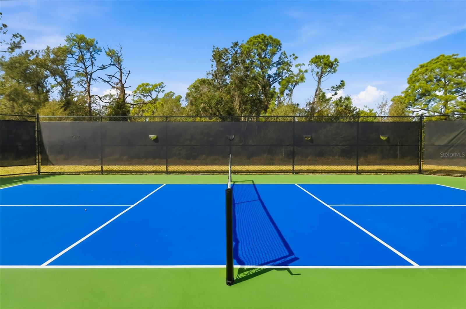 Image 64 of 76 For 8217 Liebton Place