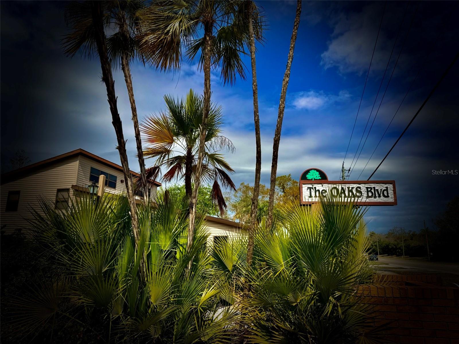 Image 37 of 38 For 1305 Water Oak Way N