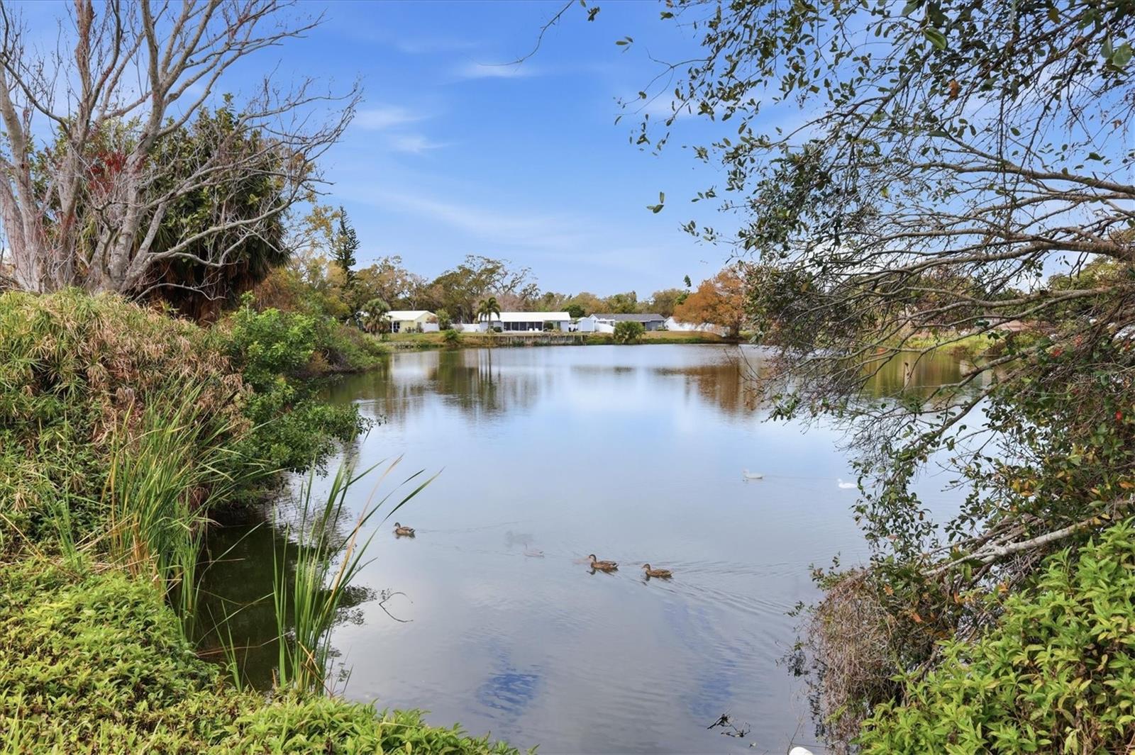 Image 30 of 32 For 3102 40th Street W