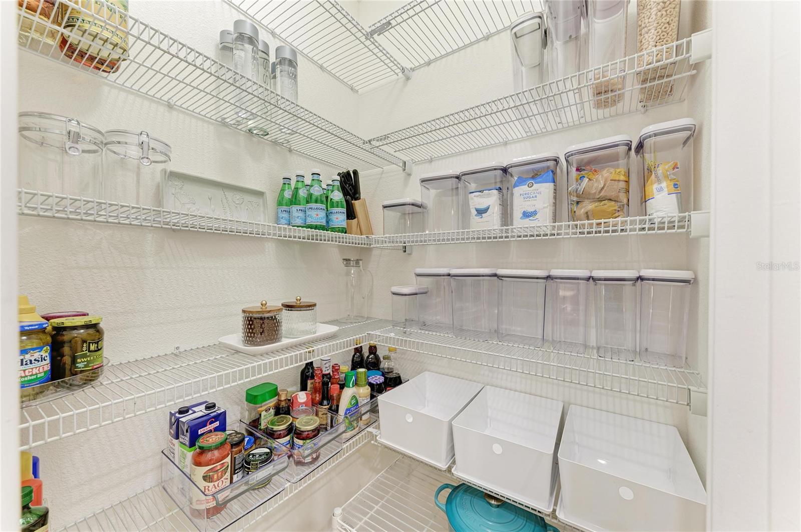 Image 31 of 75 For 302 Cockle Shell Loop