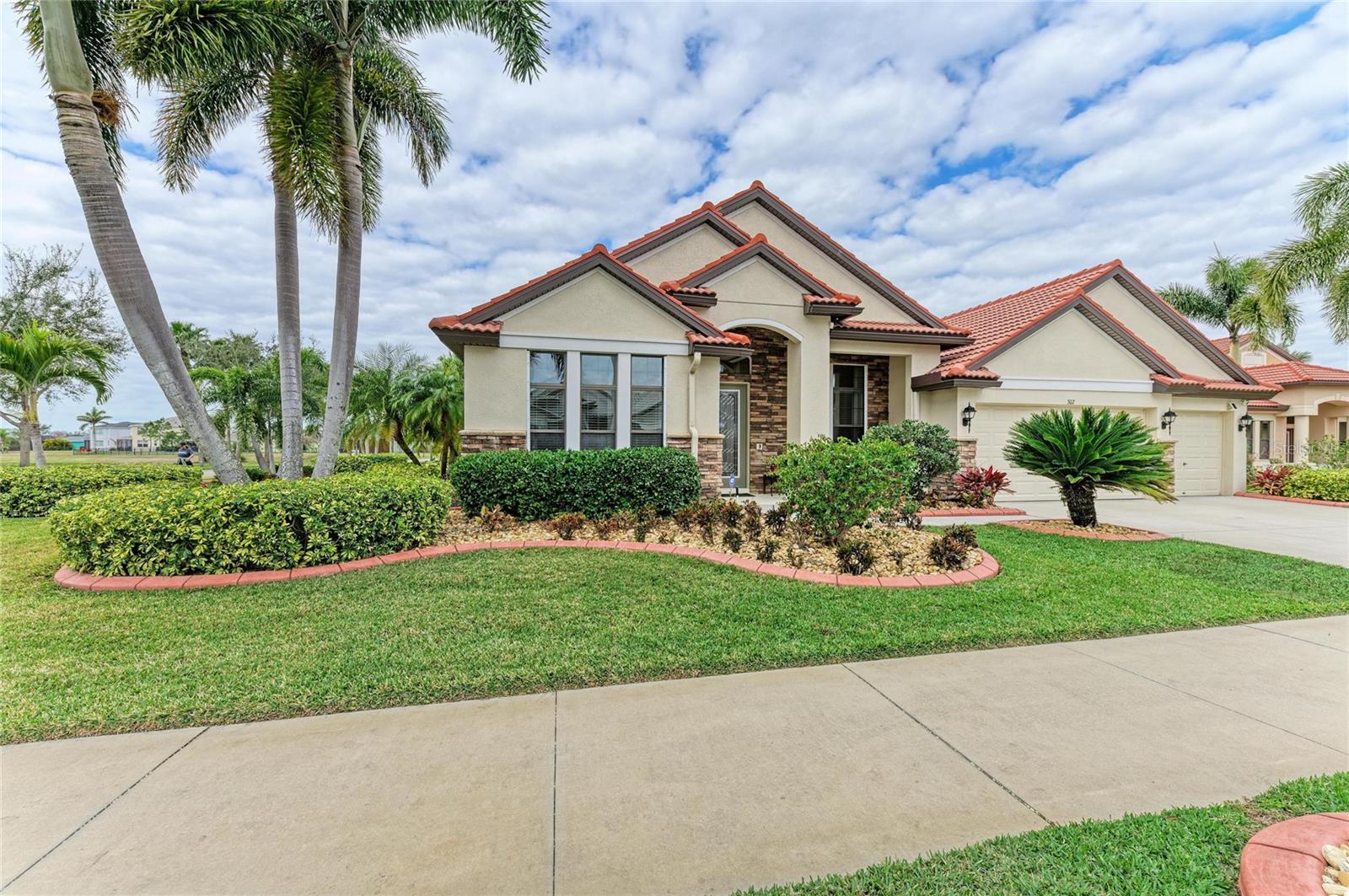 Image 4 of 75 For 302 Cockle Shell Loop