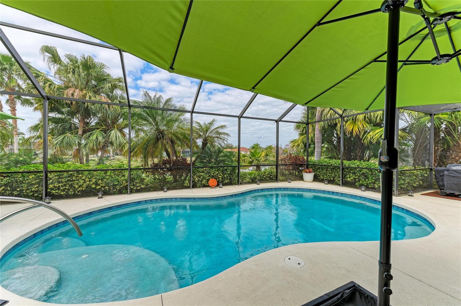 Image 54 of 75 For 302 Cockle Shell Loop