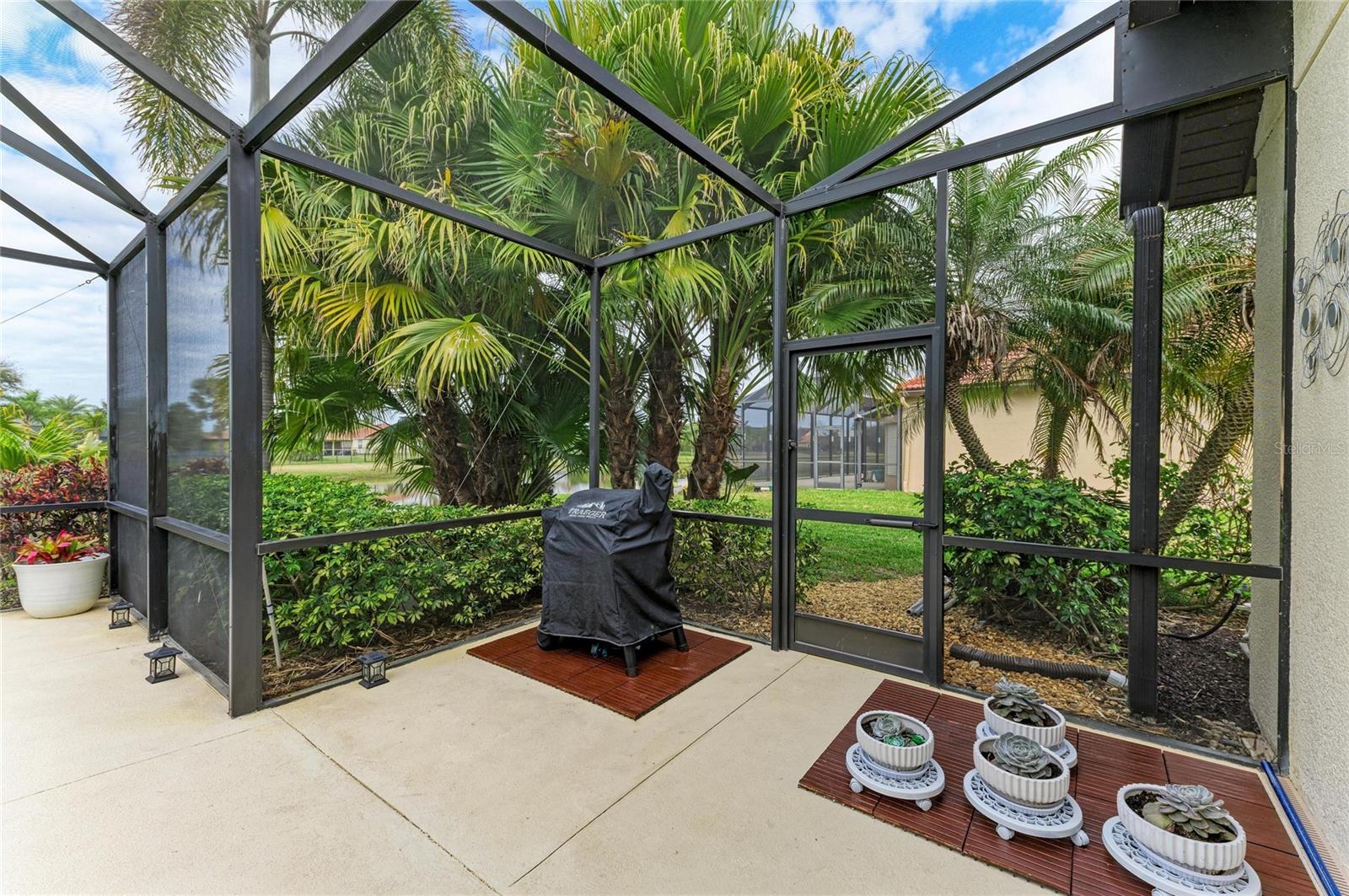 Image 58 of 75 For 302 Cockle Shell Loop