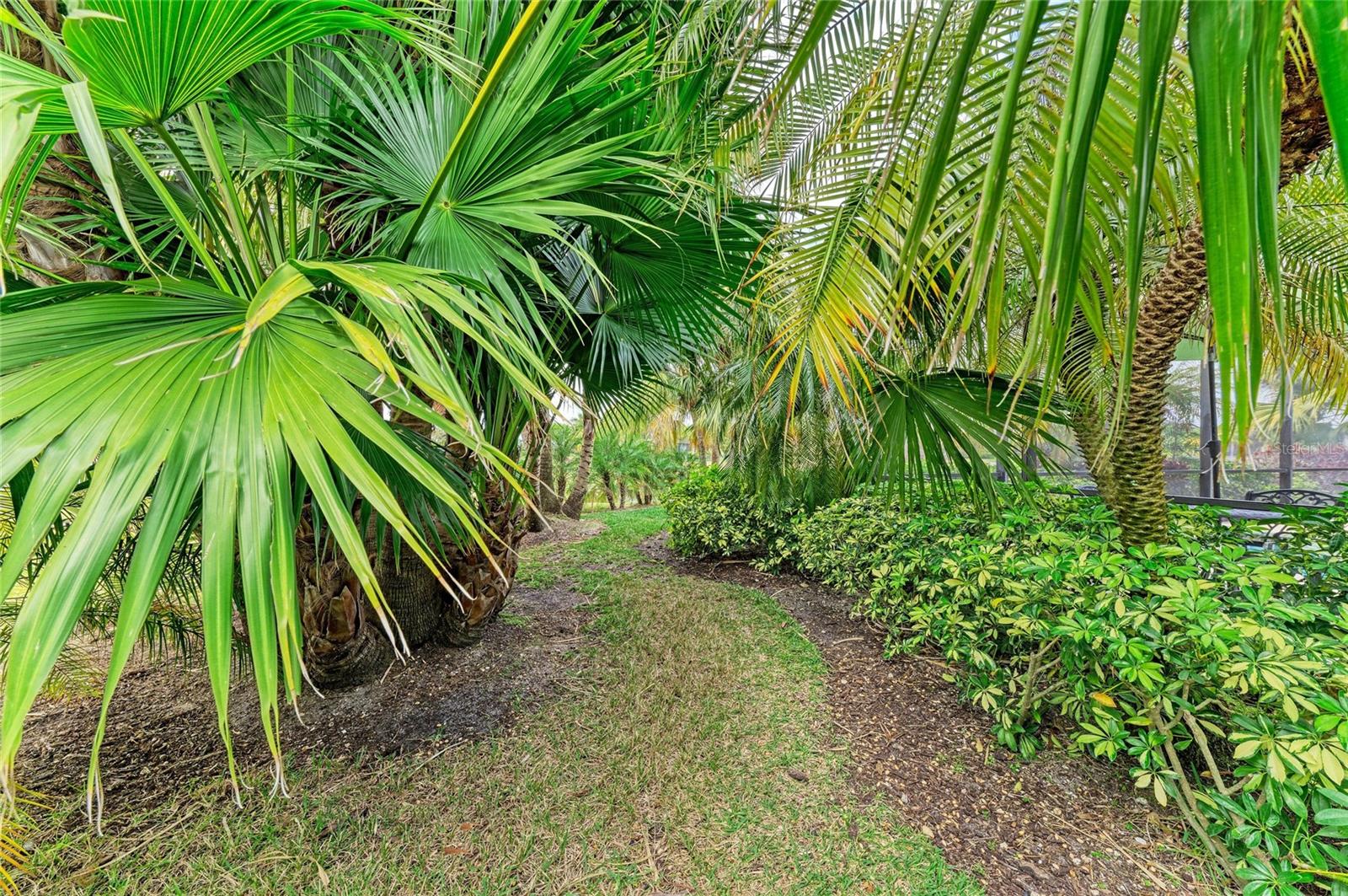 Image 60 of 75 For 302 Cockle Shell Loop