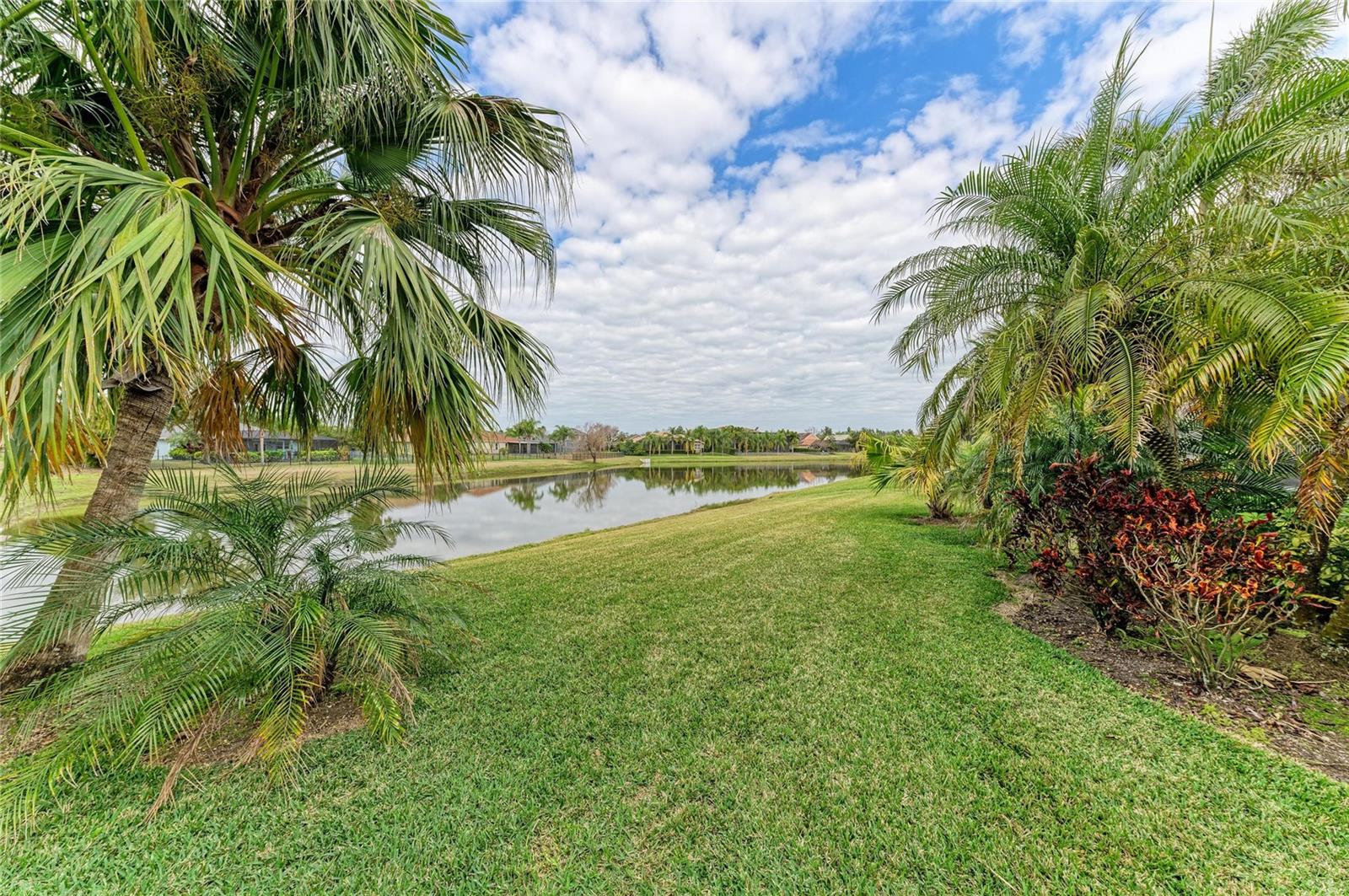 Image 62 of 75 For 302 Cockle Shell Loop
