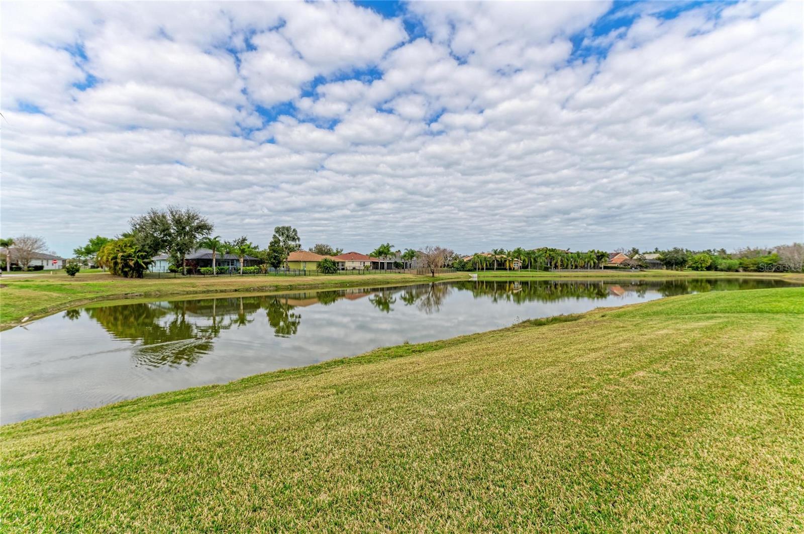 Image 63 of 75 For 302 Cockle Shell Loop