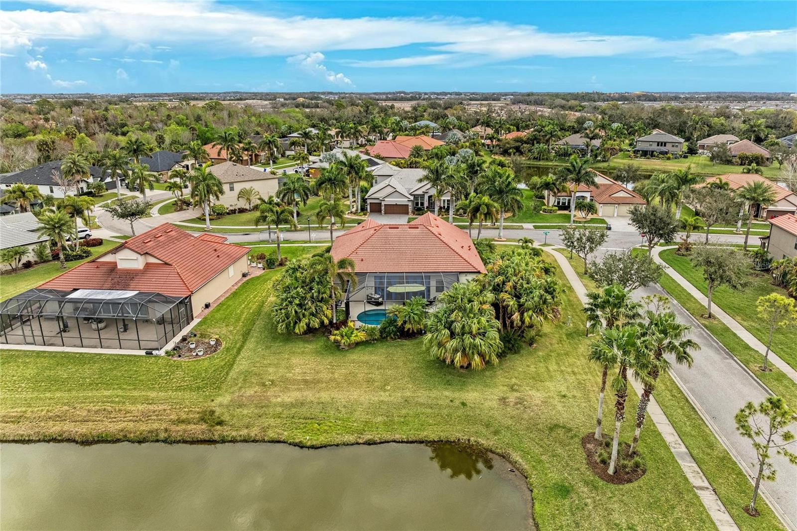 Image 67 of 75 For 302 Cockle Shell Loop