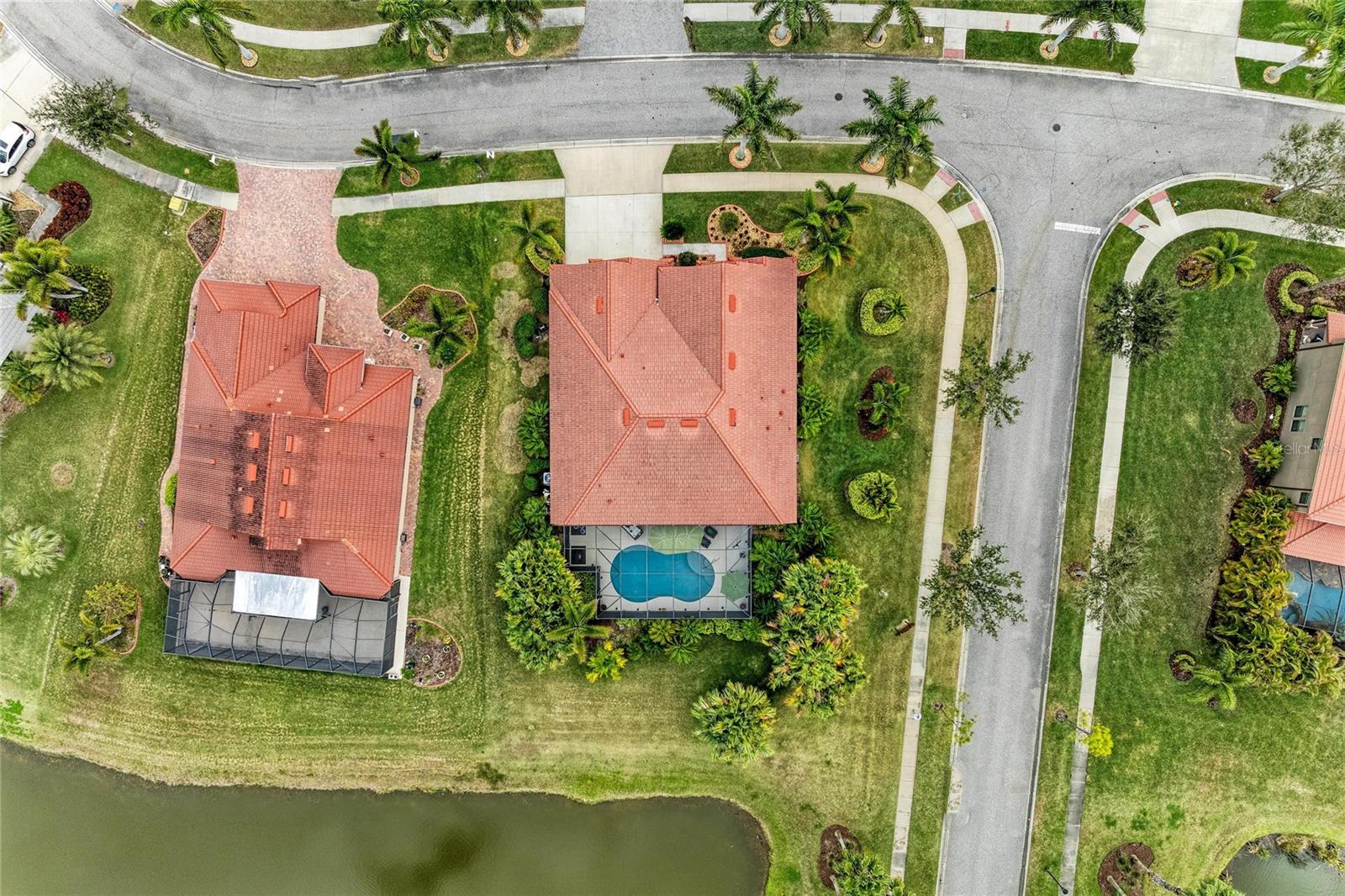 Image 69 of 75 For 302 Cockle Shell Loop