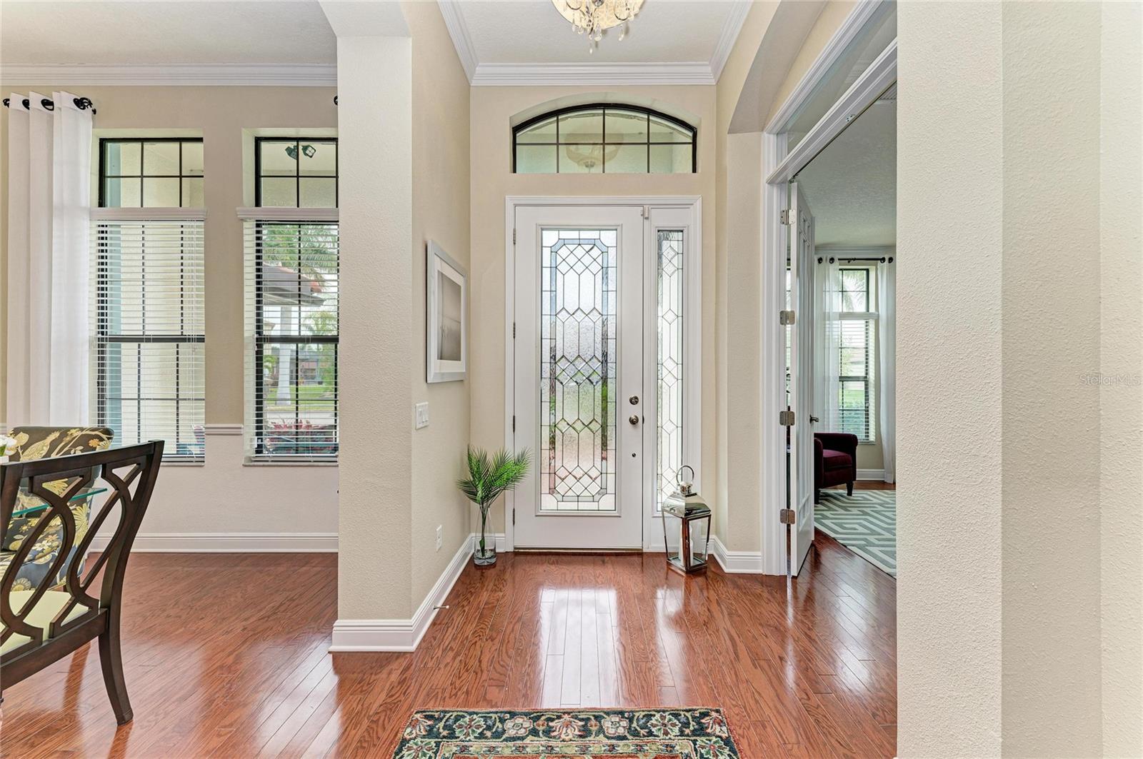 Image 7 of 75 For 302 Cockle Shell Loop