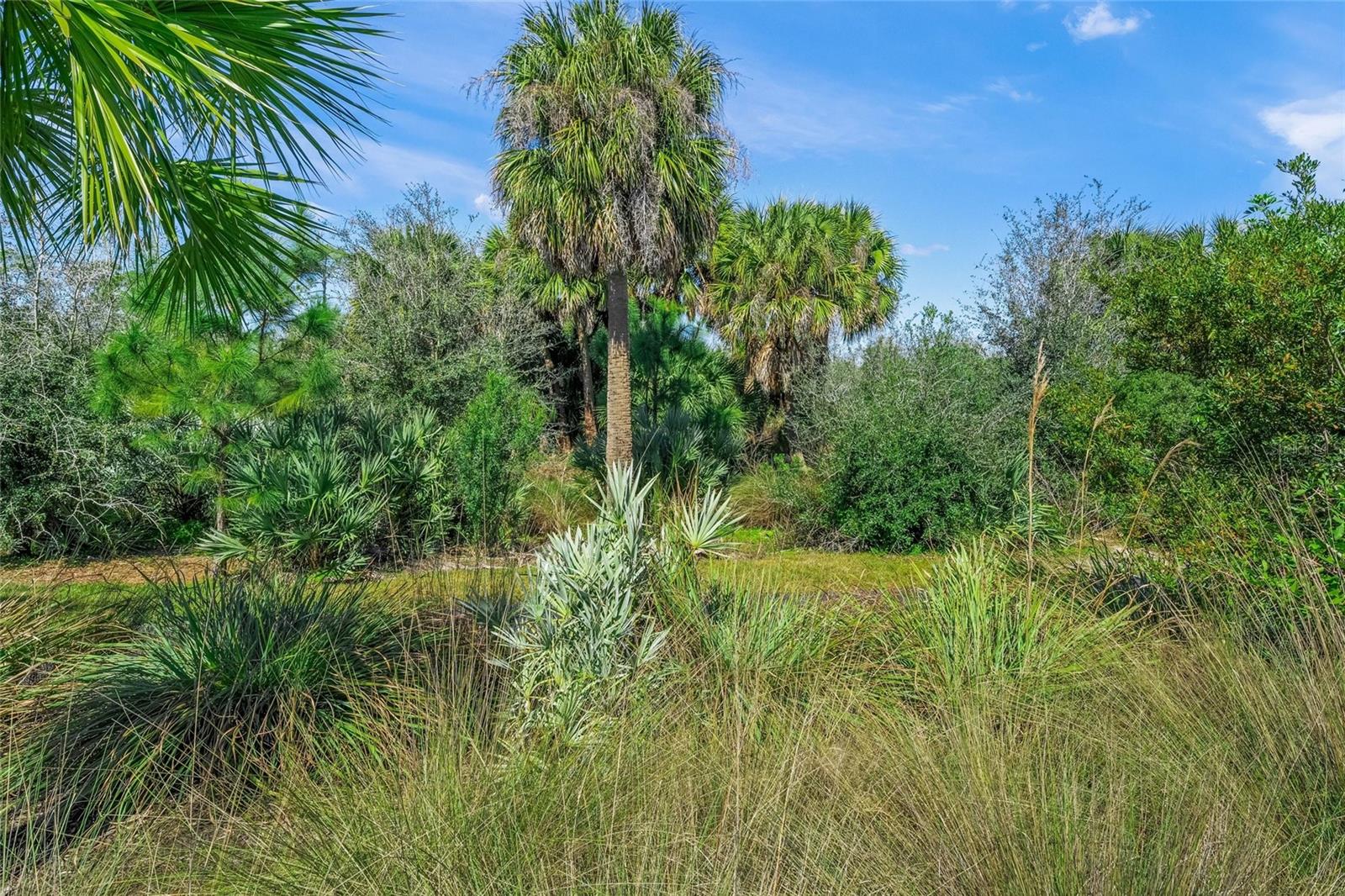 Image 44 of 69 For 10345 Canaveral Circle