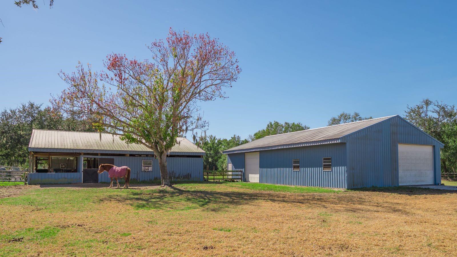 Image 46 of 67 For 7610 Saddle Creek Trail