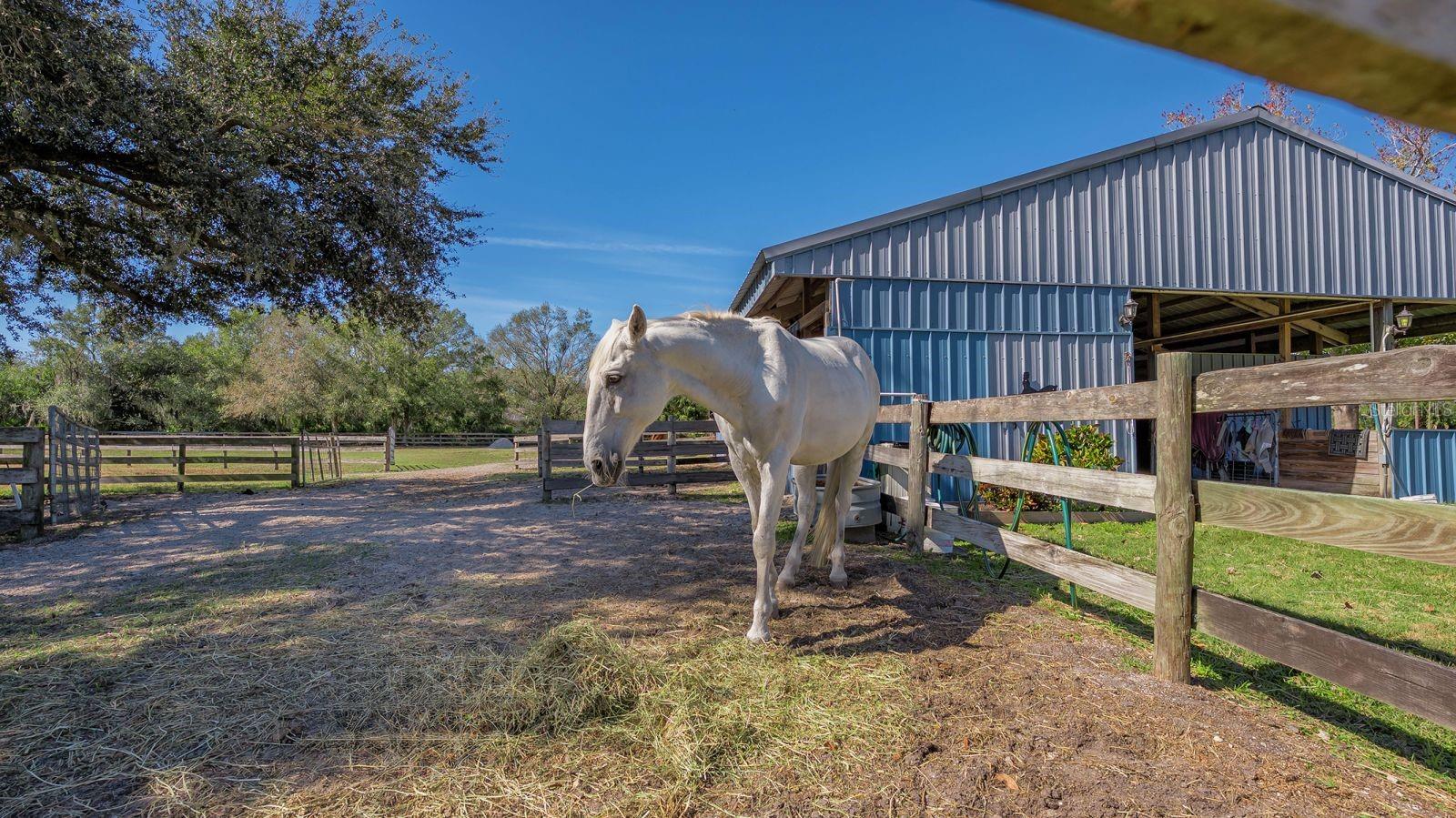 Image 49 of 67 For 7610 Saddle Creek Trail