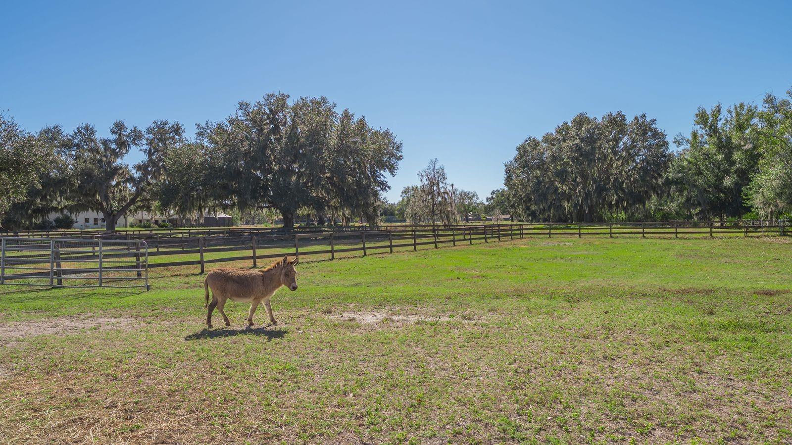 Image 60 of 67 For 7610 Saddle Creek Trail