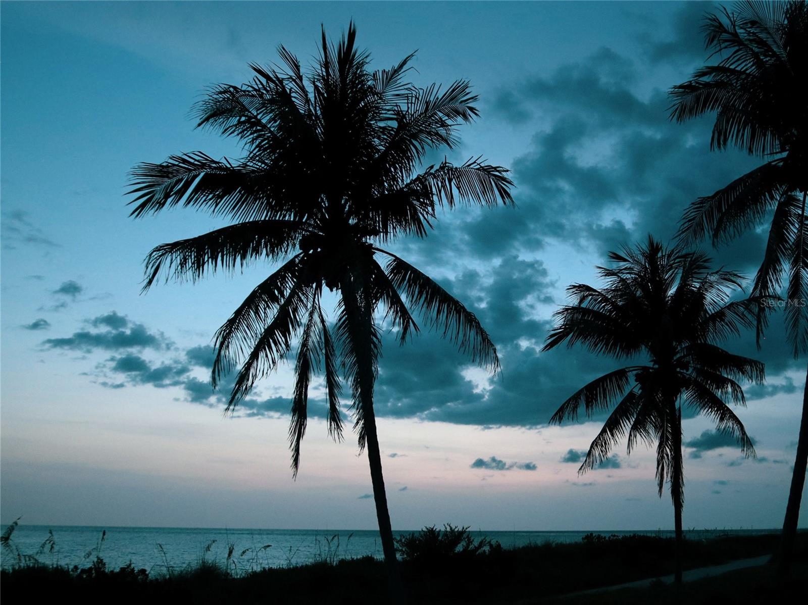 Image 53 of 61 For 2165 Gulf Of Mexico Drive 115