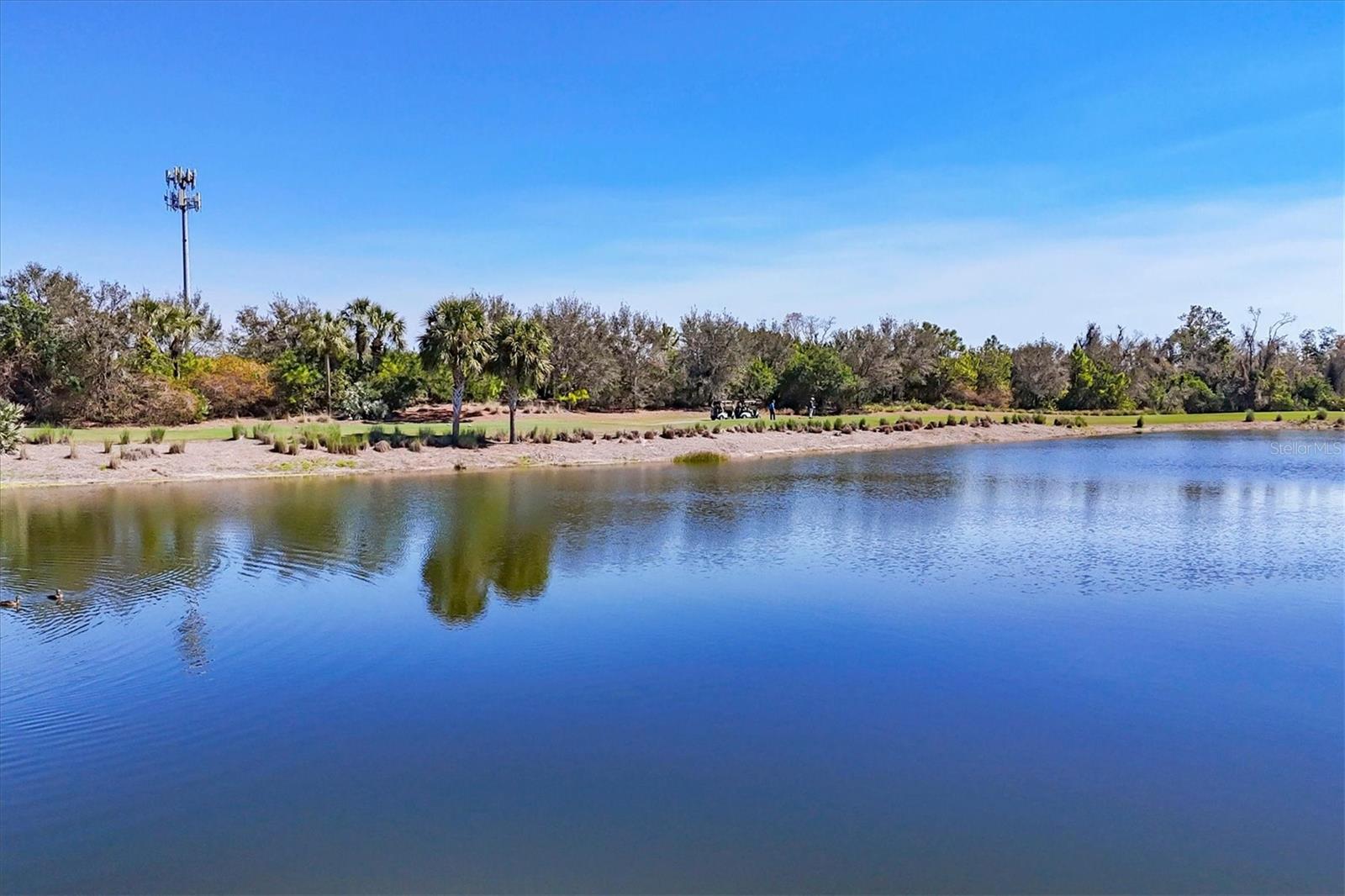 Image 43 of 86 For 13321 Sorrento Way