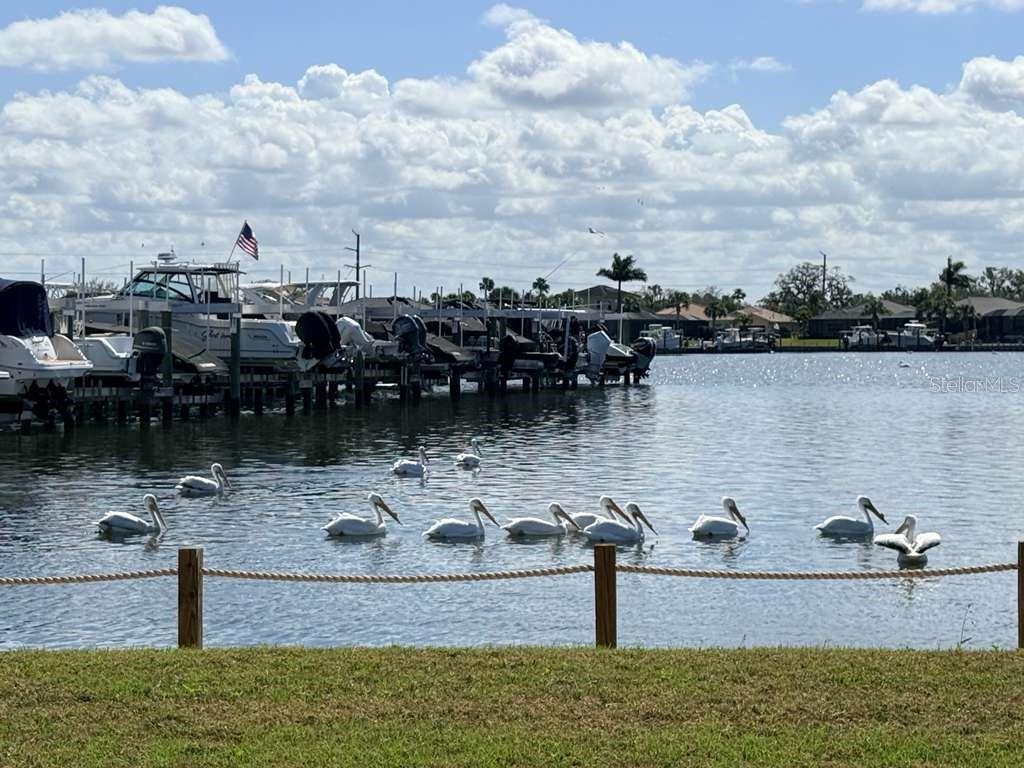 Image 24 of 86 For 904 Riverscape Street