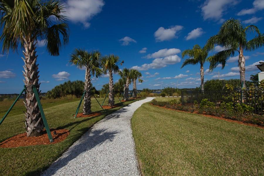 Image 45 of 86 For 904 Riverscape Street