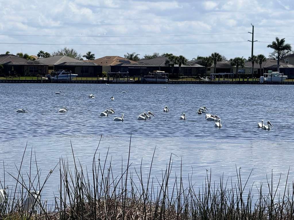 Image 47 of 86 For 904 Riverscape Street