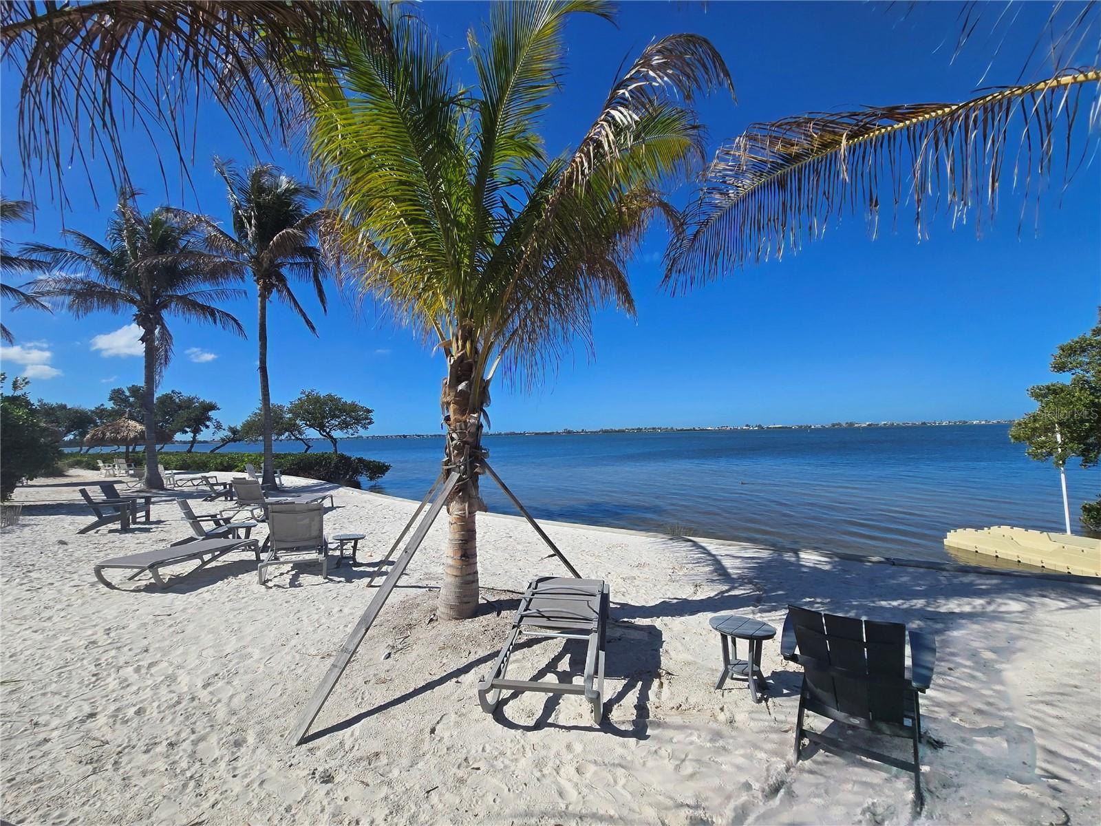 Image 71 of 82 For 376 Aruba Circle 203