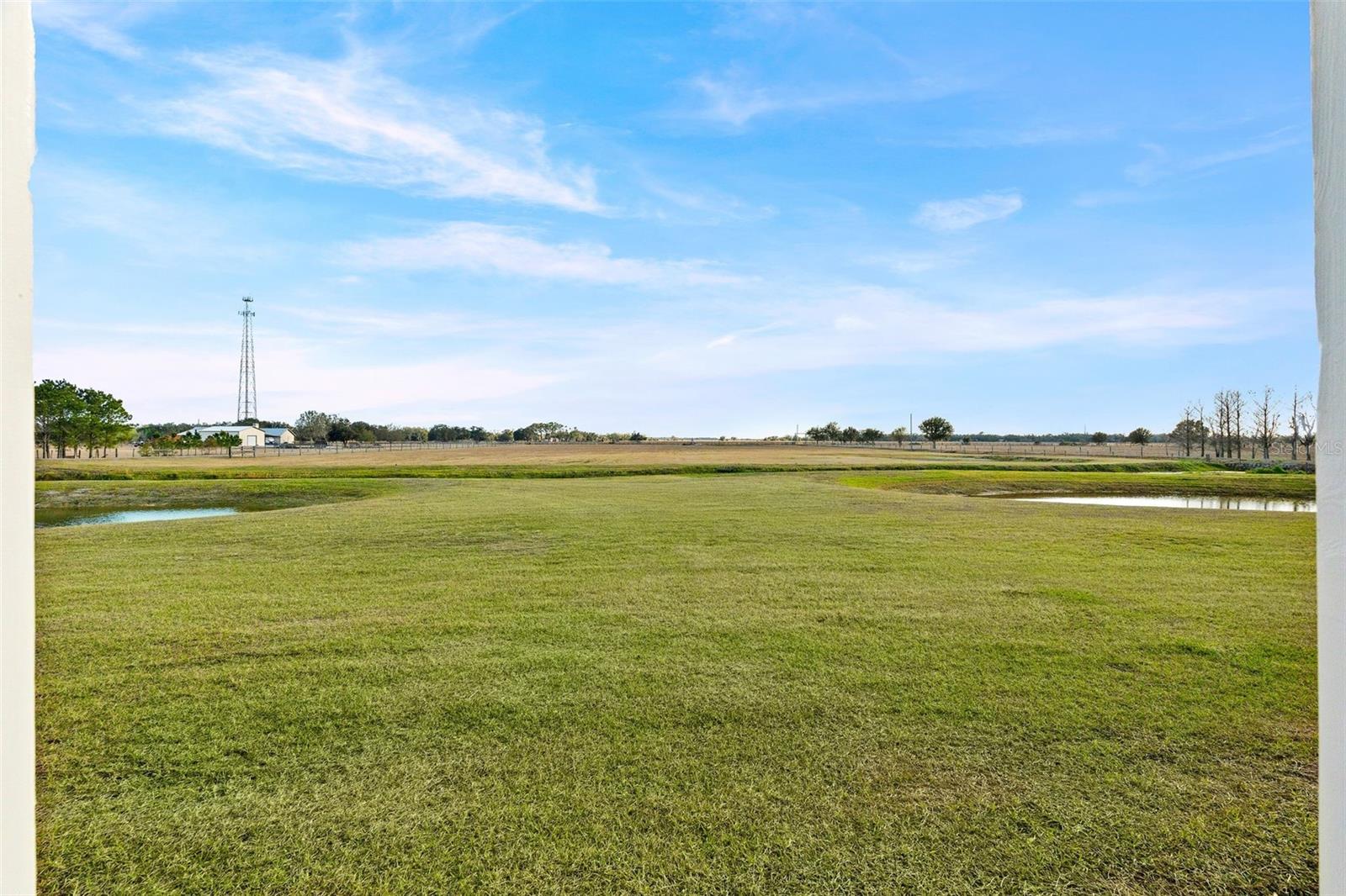 Image 68 of 76 For 35005 Clay Gully Road