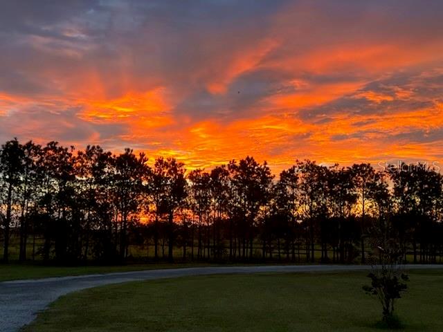 Image 69 of 76 For 35005 Clay Gully Road