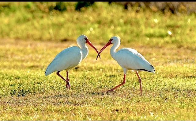 Image 71 of 76 For 35005 Clay Gully Road