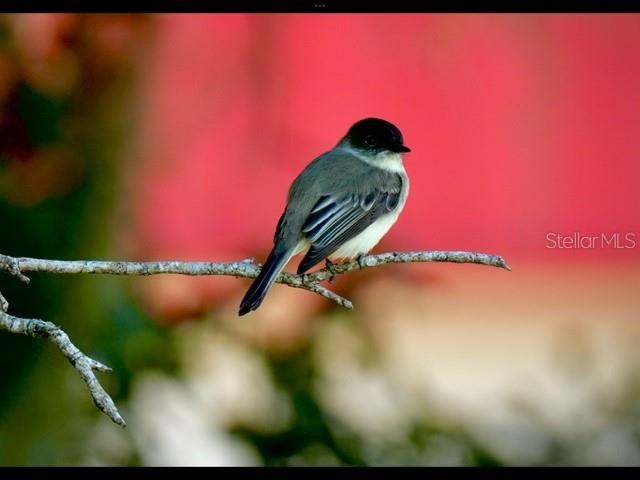 Image 72 of 76 For 35005 Clay Gully Road