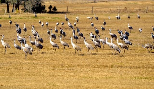 Image 73 of 76 For 35005 Clay Gully Road