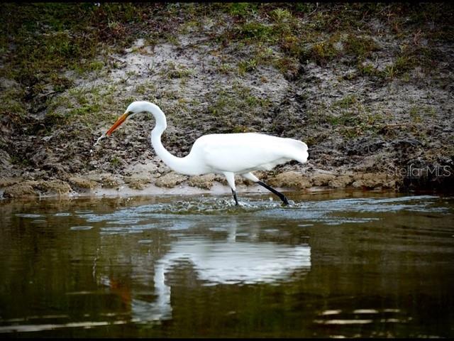 Image 74 of 76 For 35005 Clay Gully Road