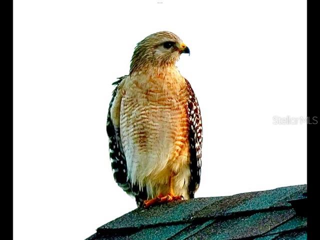 Image 75 of 76 For 35005 Clay Gully Road