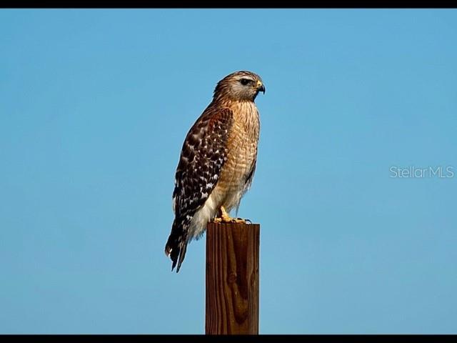 Image 76 of 76 For 35005 Clay Gully Road