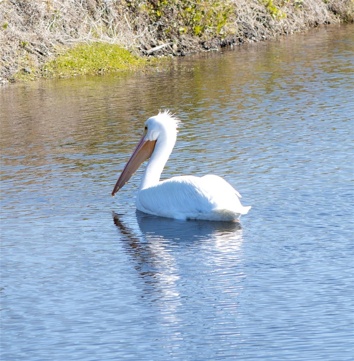 Image 24 of 25 For 863 Audubon Drive 863